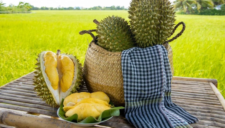Sầu riêng Việt Nam phải tăng giá trị thay vì tăng diện tích